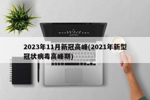 2023年11月新冠高峰(2021年新型冠状病毒高峰期)