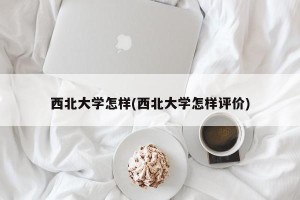 西北大学怎样(西北大学怎样评价)